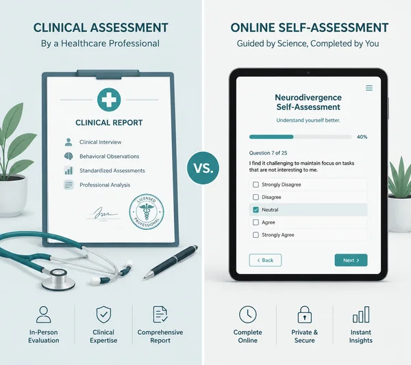 Medical diagnostic chart contrasted with web assessment tool